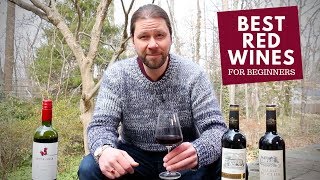 The Best Red Wines For Beginners Series 6 Malbec [upl. by Eltsyek]