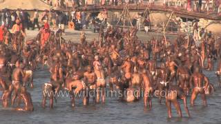 Best of Allahabad Kumbh mela  Worlds largest religious gathering [upl. by Yenor]