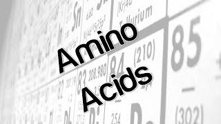 Amino Acids [upl. by Elledoj510]