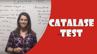 Catalase Test [upl. by Haliek107]