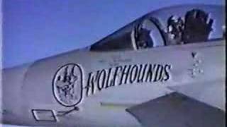 F15 Wolfhounds 32nd Tactical Fighter Squadron Soesterberg [upl. by Klein864]