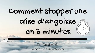 Comment Stopper Une Crise dAngoisse en 3 minutes [upl. by Llednov]