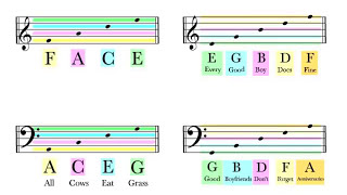 How To Read Notes On The Staff  EASY  Music Theory Tutorial [upl. by Eecart]