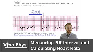 Measuring RR Interval and Calculating Heart Rate [upl. by Ahsinor]