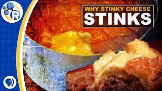 Why Does Stinky Cheese Stink [upl. by Samp]