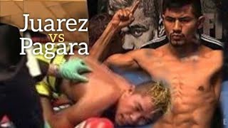 This is what happen when the boxer was over confidentJuarez vs Pagara knockout highlights [upl. by Dre]