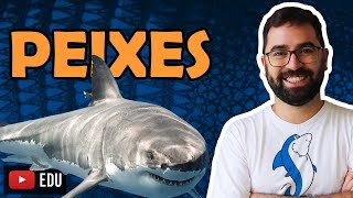 Peixes  Aula 28  Módulo VI Zoologia  Prof Gui [upl. by Adlesirc]