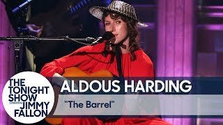 Aldous Harding The Barrel [upl. by Mapes]