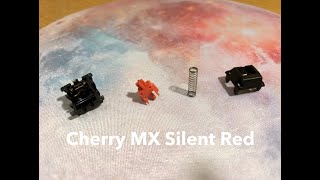 How To Lube Cherry MX Silent Red Switches [upl. by Otokam]