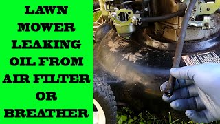 How To Fix A Lawnmower That Is Leaking Oil From Air Filter Housing [upl. by Anek933]