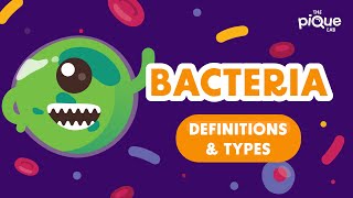 Bacteria Definition amp Types  Primary School Science Animation [upl. by Halie816]