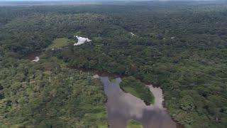 History of the Congo River [upl. by Mailliwnhoj763]