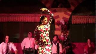 Flamenco Dance Seville Spain [upl. by Allicerp]