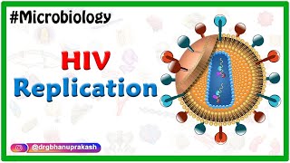 HIV Replication  Microbiology Medical Animations [upl. by Aidul]