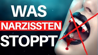 5 fiese NarzisstenSätze Antworte SO Narzissmus erkennen amp abwehren [upl. by Teerprah57]