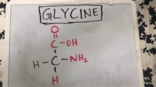 Glycine Structure  Amino Acid Basics [upl. by Abe]