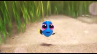 Hi Im Dory [upl. by Aneri]