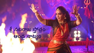 Nataraja Stotram  Smt Padma Mohan  Andhra Natyam [upl. by Assir3]