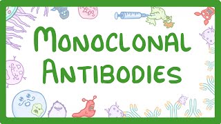 GCSE Biology  Monoclonal Antibodies 40 [upl. by Nahgam]