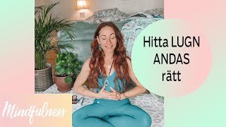 ANDAS  hitta lugn på 5 min meditation mindfulness [upl. by Candida]