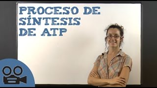 Proceso de síntesis de ATP [upl. by Muhcan707]