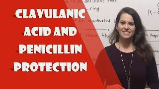 Clavulanic Acid Clavulanate and Penicillin Protection [upl. by Otilegna]