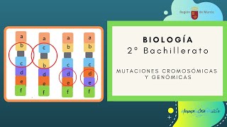 MUTACIONES CROMOSÓMICAS Y GENÓMICAS [upl. by Enahc]