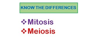 Cell Division Mitosis amp Meiosis [upl. by Gnilrac]