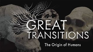 Great Transitions The Origin of Humans — HHMI BioInteractive Video [upl. by Forland]