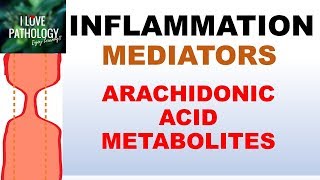 INFLAMMATION Part 5 Chemical Mediators ARACHIDONIC ACID METABOLITES [upl. by Sivahc]