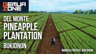 DEL MONTE PINEAPPLE PLANTATION  BUKIDNON [upl. by Drallim]