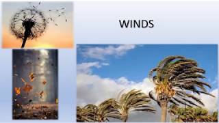 ICSE Class 9  Geography  Atmospheric Pressure  Winds Part 2 [upl. by Lette]