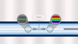 FBG Optical Sensing Overview [upl. by Anahcra373]