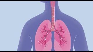 How COVID19 Affects Your Lungs [upl. by Dupuy]