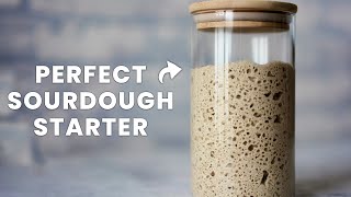 The Last SOURDOUGH STARTER RECIPE You Ever Need [upl. by Nnaj61]