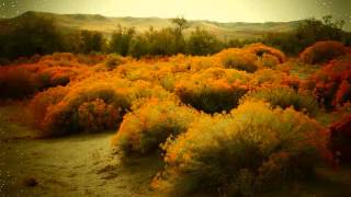 bruneau dunes [upl. by Ecirtael]