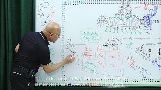 Apoptosis  Programmed Cell Death Definition [upl. by Gosselin]