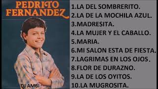 Pedro Fernández SUS MEJORES CANCIONES MIX DE EXITOS ROMANTICOS [upl. by Emixam]