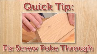 Quick Tip Fix a Protruding Screw [upl. by Nymsaj]