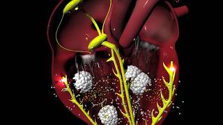 Digoxin for Arrhythmias irregular heartbeat [upl. by Tilagram]