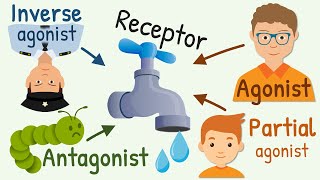 Agonist Partial Agonist Antagonist and Inverse Agonist for Receptors [upl. by Latsyrd]