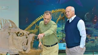 How Did Noahs Flood Create the Fossil Record  Dr Marcus Ross [upl. by Ahsyad346]