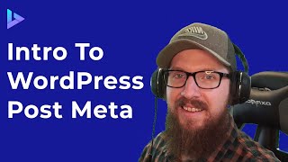 WordPress Post Meta in 10 Minutes  WordPress Metadata and Database Tutorial [upl. by Trauts36]