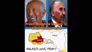 VOA Prince Mengesha Seyoum on Wolkait Tegede 26 Feb 2016 [upl. by Mauchi]