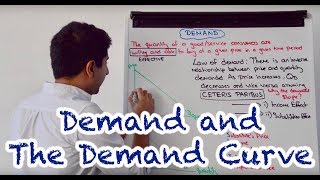 Y1 3 Demand and the Demand Curve [upl. by Charis]