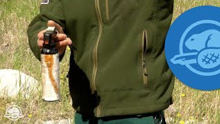 How to Use Bear Spray  Banff National Park [upl. by Erick761]