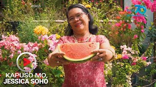 Kapuso Mo Jessica Soho KASAMBAHAY NOON ISA NGAYON SA PINAKAMALAKING SUPPLIER NG PRUTAS SA AKLAN [upl. by Younglove]