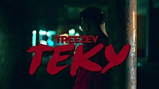 Treezey  Teky Officiel Vidéo 2023 [upl. by Annawik282]