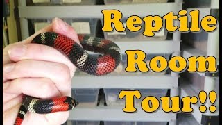 Reptile Room Tour Part 1 [upl. by Niltiak]