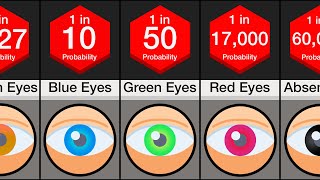 Probability Comparison Eye Color [upl. by Goines]